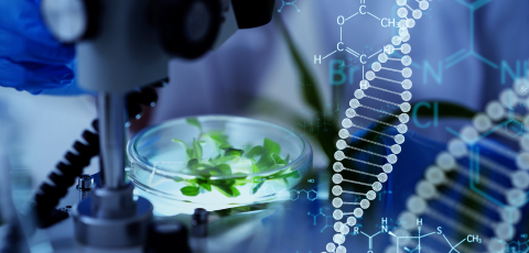 合成バイオ基盤部門